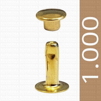 Rivets: Rivets 33 Single cap gold 33/10 per 1.000 - pict. 1
