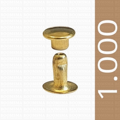 Rivets: Rivets 33 Single cap gold 33/8 per 1.000 - pict. 1