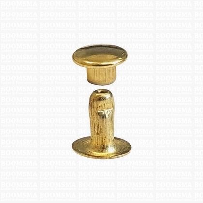 Rivets: Rivets 33 Single cap gold 33/8 per 100 - pict. 1