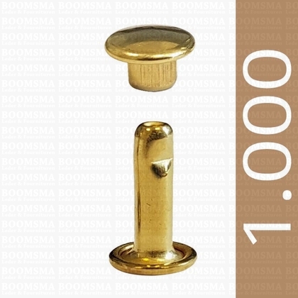 Rivets: Rivets 33 Double cap gold 33/10/2 per 1.000 - pict. 1