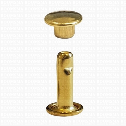 Rivets: Rivets 33 Double cap gold 33/10/2 per 100 - pict. 1
