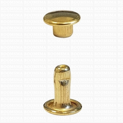 Rivets: Rivets 33 Double cap gold 33/8/2 per 100 - pict. 1