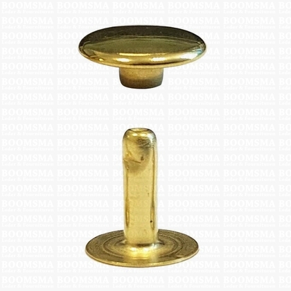 Rivets: Rivets 36 Single cap Brass 36/10 per 100 - pict. 1