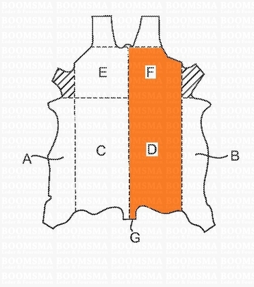 Belts/strips of veg-tanned leather sides white - pict. 1