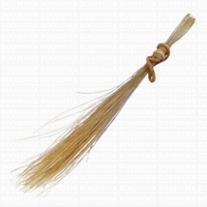 Pighair bristle (Authentic) natural per 20 hairs approx. 12,5 cm smalle haren - pict. 1