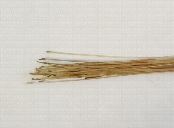 Pighair bristle (Authentic) - pict. 3