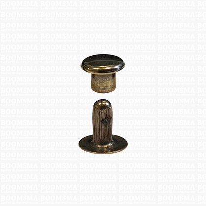 Rivets: Rivet 00 single cap antique brass plated 00 per 100 - pict. 1