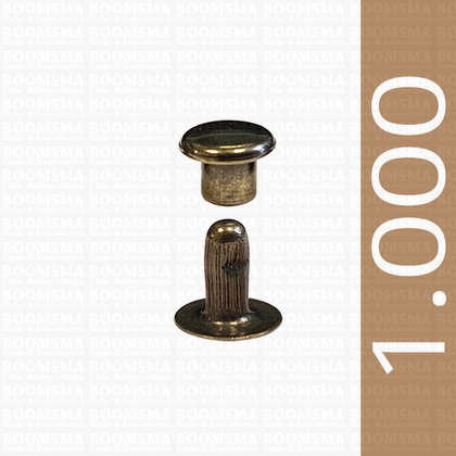 Rivets: Rivet 00 single cap antique brass plated 00 per 1.000 - pict. 1