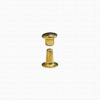 Rivets: Rivet 000 Single cap gold 000 per 100 - pict. 1