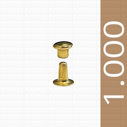 Rivets: Rivet 000 Single cap gold 000 per 1.000 - pict. 1