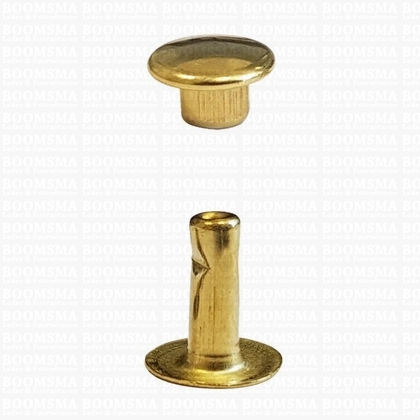 Rivets: Rivets 33 Single cap gold 33/9 per 100 - pict. 1