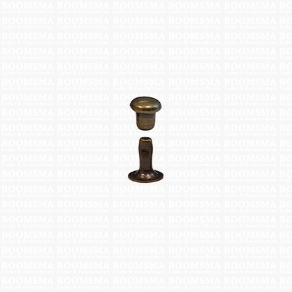 Rivets: Rivet 4007 Single cap antique brass plated 4007 (per 100) - pict. 1