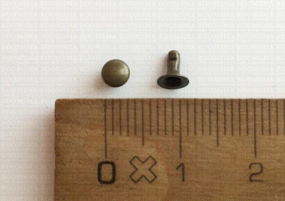 Rivets: Rivet 4007 Single cap antique brass plated - pict. 4