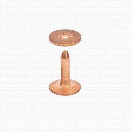 Rivets and burrs small brass (red) (copper) 12 mm, (rivet + burr)  cap Ø 10 mm, pin Ø 2.8mm (per 10) COPPER - pict. 2