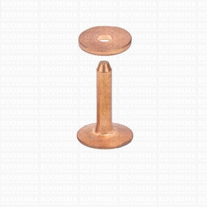 Rivets and burrs small brass (red) (copper) 15,5 mm, (rivet + burr)  cap Ø 10 mm, pin Ø 2.8mm (per 10) COPPER - pict. 2