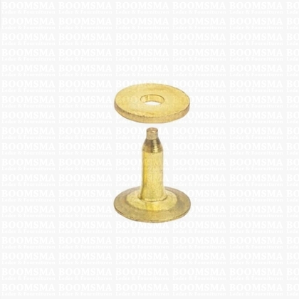 Rivets and burrs small brass 10 mm, (rivet + burr)  cap Ø 10 mm, pin Ø 2.8mm (per 10) BRASS - pict. 2