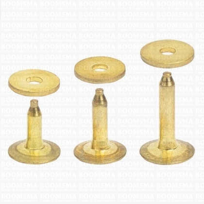 Rivets and burrs small brass 10 mm, (rivet + burr)  cap Ø 10 mm, pin Ø 2.8mm (per 10) BRASS - pict. 1