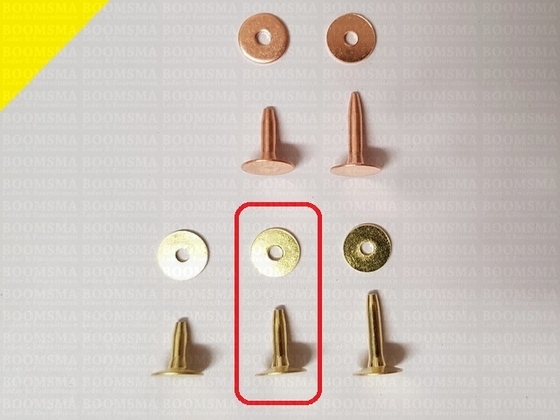Rivets and burrs small brass 12 mm, (rivet + burr)  cap Ø 10 mm, pin Ø 2.8mm (per 10) BRASS - pict. 3