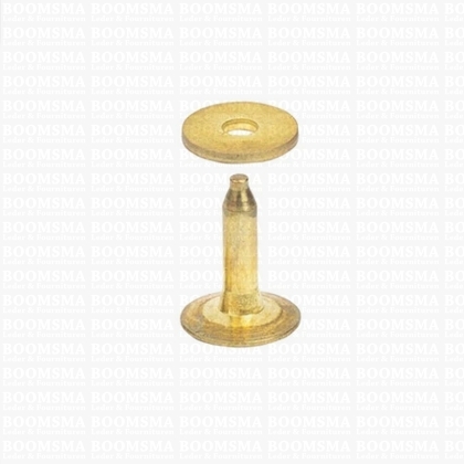 Rivets and burrs small brass 12 mm, (rivet + burr)  cap Ø 10 mm, pin Ø 2.8mm (per 10) BRASS - pict. 2