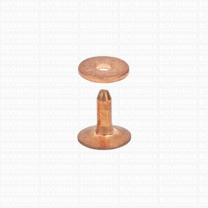 Rivets and burrs small brass (red) (copper) 10 mm, (rivet + burr)  cap Ø 10 mm, pin Ø 2.8mm (per 10) COPPER - pict. 2