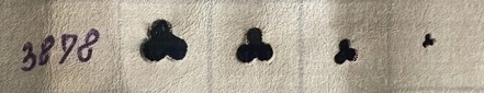 Shape punch clover - pict. 3