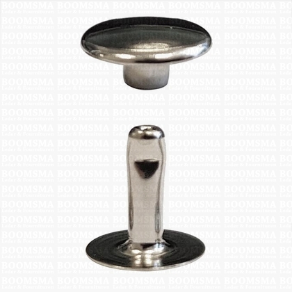 Rivets: Rivets 36 Single cap silver 36/10 per 100 - pict. 1