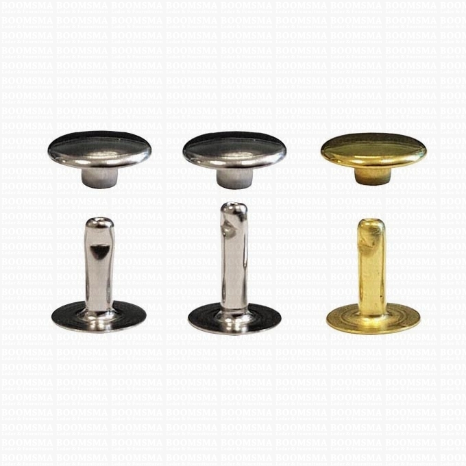 Buy Rivets Buy your Rivets: Rivets 36 Single cap Brass nickel-plated 36/10 per 100 ...