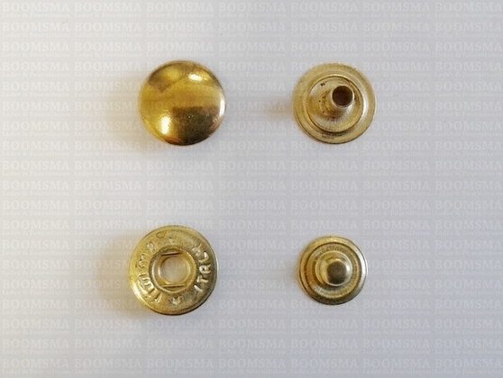 Snaps: Snaps for glove or wallet cap Ø 12,5 mm gold cap Ø 12,5 mm (per 100) - pict. 2