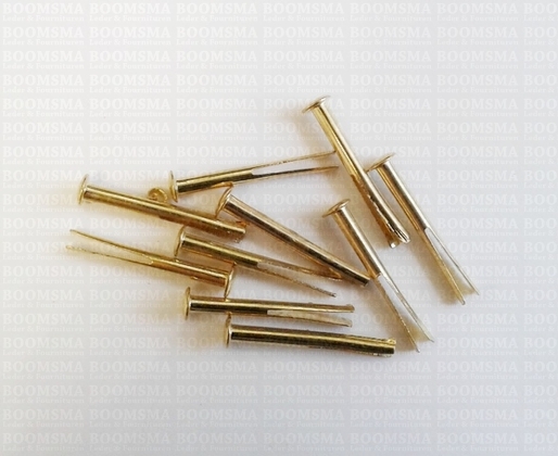 Splitpin  length 20 mm head Ø 3,5 mm thickness 2 mm colour: gold per 10 pcs. - pict. 1