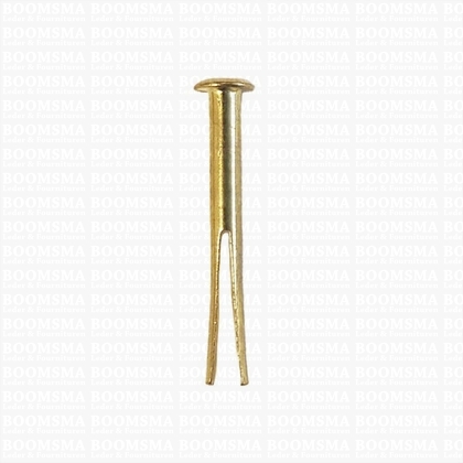 Splitpin  length 20 mm head Ø 6 mm thickness 3 mm colour: gold (per 10) - pict. 2