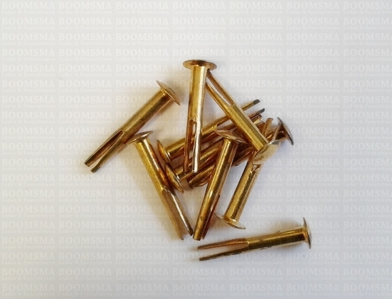 Splitpin  length 20 mm head Ø 6 mm thickness 3 mm colour: gold (per 10) - pict. 3