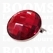Synthetic crystal rivets large 30 mm round red - pict. 1