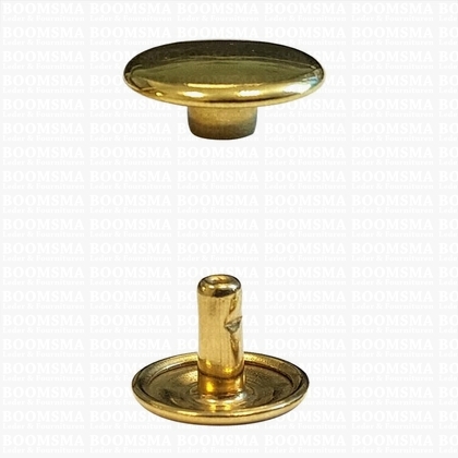 Rivets: Rivets 36 Double cap gold 36/8/2 per 100 - pict. 1