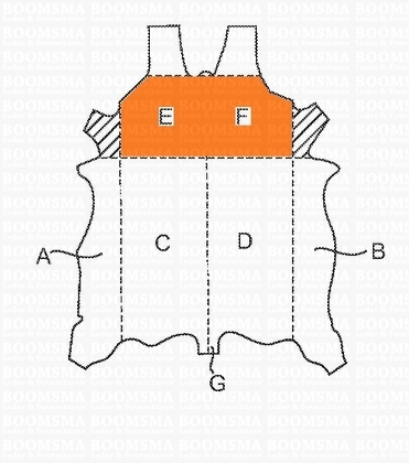 Veg. tanned double shoulders thin (1st choice) - pict. 2