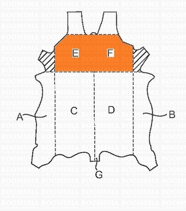 Veg tanned leather coloured  - pict. 5