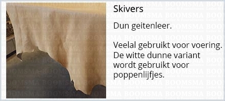 Skviers