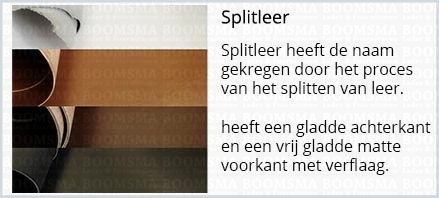 Splitleer