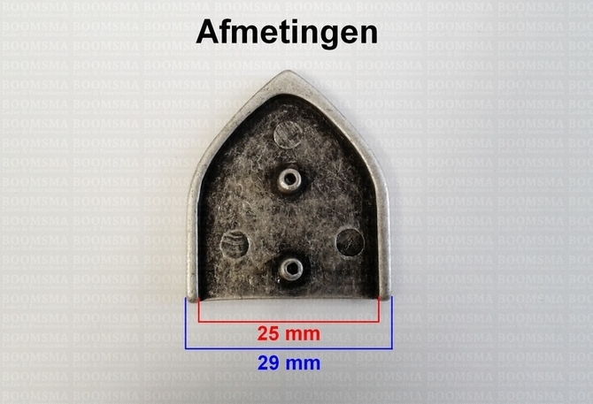 Reiemeind punt met holnieten mat nikkel uitleg