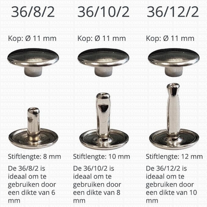 Overzicht Holnieten dubbele kop 36 zilver