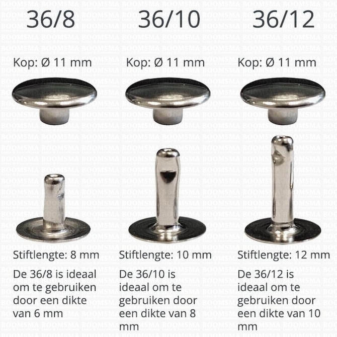 Overzicht Holnieten  enkele kop 36  zilver kopiëren