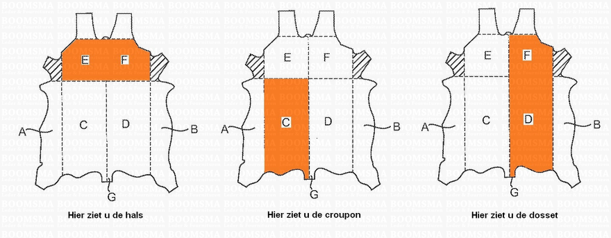 Leer waarvan gesneden