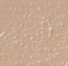 Angelus verfproducten beige - afb. 2