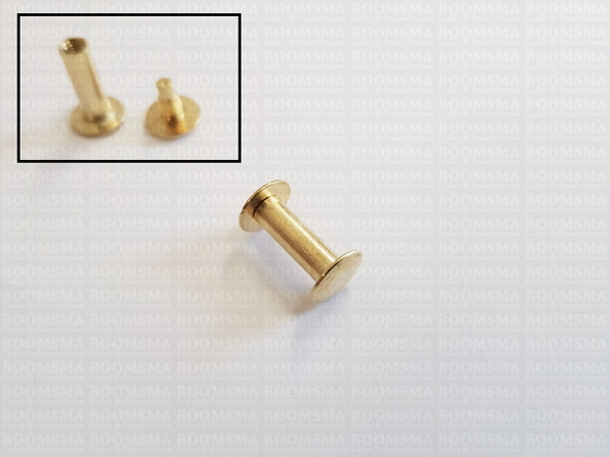 Boekschroeven goud nr. 2   A= kop Ø 10 mm, B= schroefbus lengte 15 mm, C= Ø 5 mm  (per 10 st.) - afb. 3