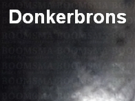 Ceintuurgesp 25 mm donkerbrons - afb. 1