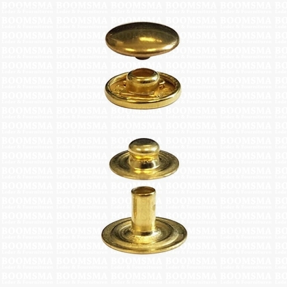 Drukknoop: Drukknoop portemonnee drukker kop Ø 12,5 mm goud kop Ø 12,5 mm (per 100) - afb. 1