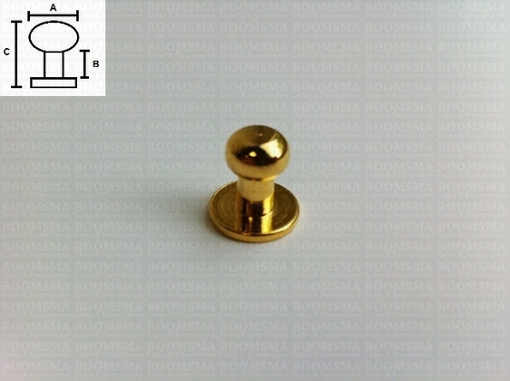 Geweerknop goud GROOT  A: bol Ø 8 mm - B: 5,5 mm, C: totale hoogte 12 mm (per 10 st.) - afb. 2