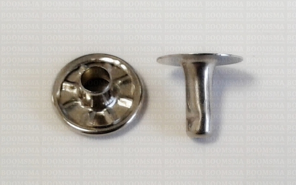Holnieten: Holniet 026 zilver 026 messing vernikkeld kop Ø 11 mm, stift 9 mm (per 100) - afb. 2