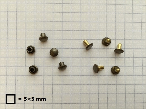 Holnieten: Holniet dubbele kop 000/2 lichtbrons kop Ø 5 mm, stift 4,5 mm lang, 2 mm breed (per 100) - afb. 2