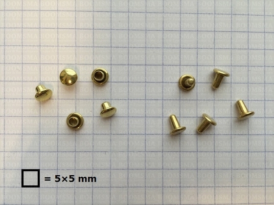 Holnieten: Holniet dubbele kop 000/2 goud kop Ø 5 mm, stift 4,5 mm lang, 2 mm breed (per 100) - afb. 2