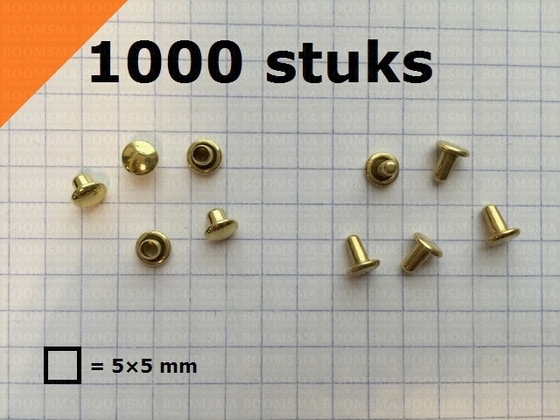 Holnieten: Holniet dubbele kop 000/2 goud kop Ø 5 mm, stift 4,5 mm lang, 2 mm breed (per 1000) - afb. 1